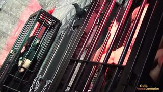 Three sluts moan loudly as they get fucked hard