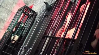 Several sluts enjoy being fucked hard from behind by huge dicks