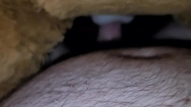 Teddy babes get fucked and cummed on